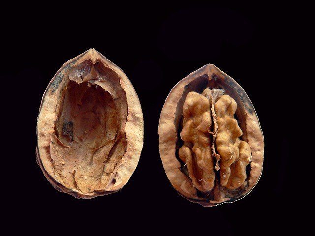 walnuts providing omega 3 fatty acids